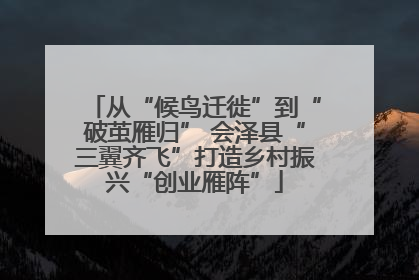 从“候鸟迁徙”到“破茧雁归” 会泽县“三翼齐飞”打造乡村振兴“创业雁阵”