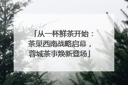 从一杯鲜茶开始：茶巢西南战略启幕，蓉城茶事焕新登场