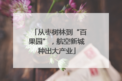 从枣树林到“百果园”，航空新城种出大产业