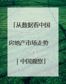 从数据看中国房地产市场走势｜中国观察