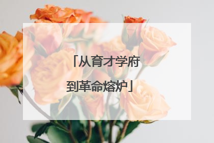 从育才学府到革命熔炉