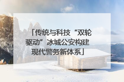 传统与科技“双轮驱动”冰城公安构建现代警务新体系