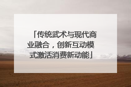 传统武术与现代商业融合，创新互动模式激活消费新动能