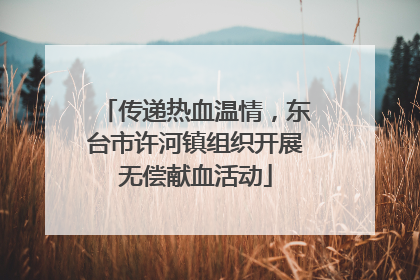 传递热血温情，东台市许河镇组织开展无偿献血活动