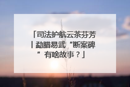 司法护航云茶芬芳丨勐腊易武“断案碑”有啥故事？