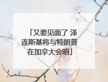 又要见面了 泽连斯基将与特朗普在加拿大会晤