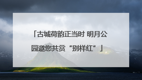 古城荷韵正当时 明月公园邀您共赏“别样红”