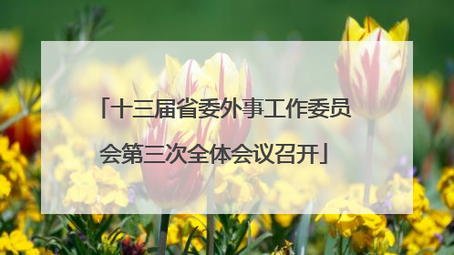十三届省委外事工作委员会第三次全体会议召开