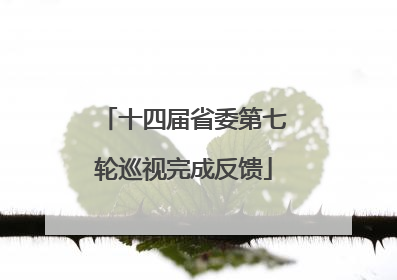 十四届省委第七轮巡视完成反馈