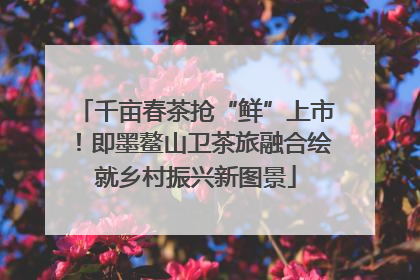 千亩春茶抢“鲜”上市！即墨鳌山卫茶旅融合绘就乡村振兴新图景