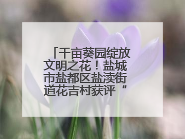 千亩葵园绽放文明之花！盐城市盐都区盐渎街道花吉村获评“全国文明村”