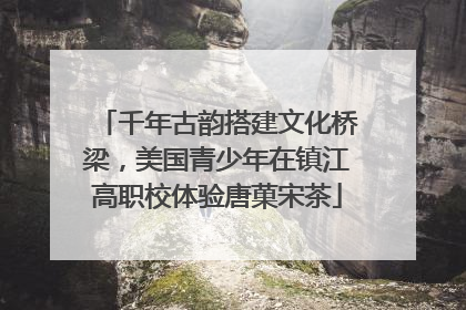 千年古韵搭建文化桥梁，美国青少年在镇江高职校体验唐菓宋茶