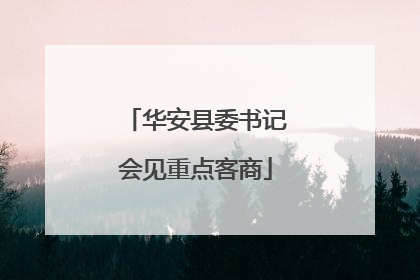 华安县委书记会见重点客商