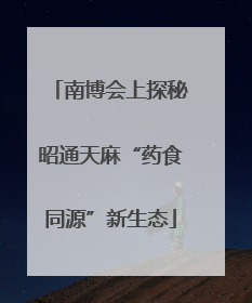 南博会上探秘昭通天麻“药食同源”新生态