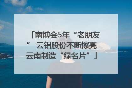 南博会5年“老朋友” 云铝股份不断擦亮云南制造“绿名片”