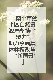 南平市延平区自然资源局坚持“三聚力” 助力擎画集体林权改革“新图景”