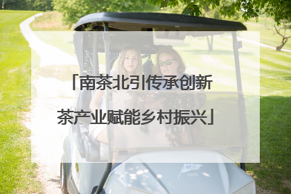 南茶北引传承创新 茶产业赋能乡村振兴