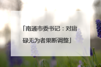 南通市委书记：对庸碌无为者果断调整