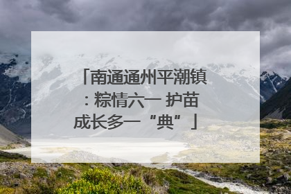 南通通州平潮镇：粽情六一 护苗成长多一“典”