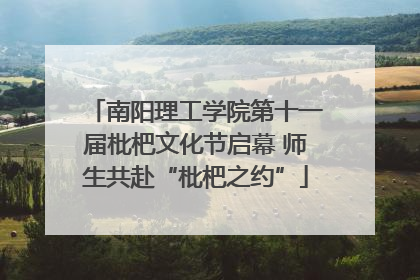 南阳理工学院第十一届枇杷文化节启幕 师生共赴“枇杷之约”
