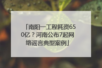 南阳一工程耗资650亿？河南公布7起网络谣言典型案例