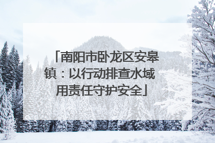 南阳市卧龙区安皋镇：以行动排查水域 用责任守护安全