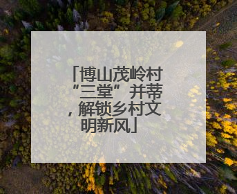 博山茂岭村“三堂”并蒂，解锁乡村文明新风