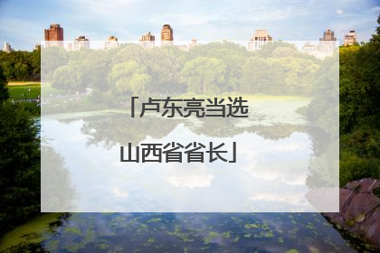 卢东亮当选山西省省长