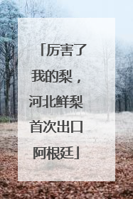 厉害了我的梨，河北鲜梨首次出口阿根廷