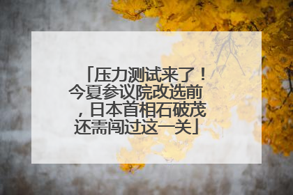 压力测试来了！今夏参议院改选前，日本首相石破茂还需闯过这一关