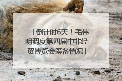倒计时6天！毛伟明调度第四届中非经贸博览会筹备情况