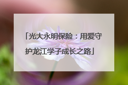 光大永明保险：用爱守护龙江学子成长之路