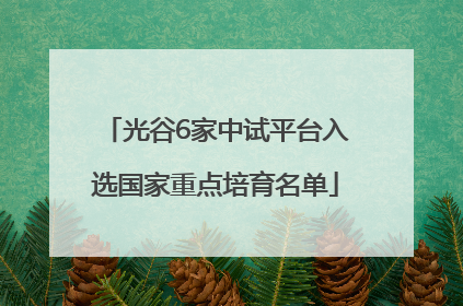光谷6家中试平台入选国家重点培育名单