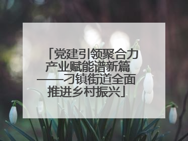 党建引领聚合力 产业赋能谱新篇——刁镇街道全面推进乡村振兴