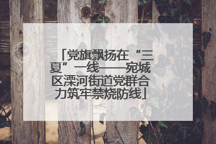 党旗飘扬在“三夏”一线——宛城区溧河街道党群合力筑牢禁烧防线
