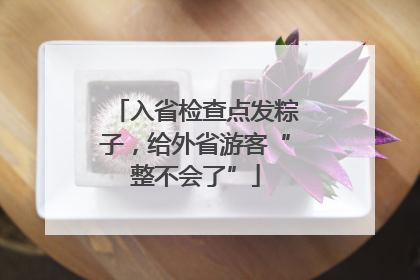 入省检查点发粽子，给外省游客“整不会了”