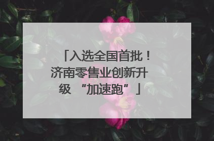 入选全国首批！济南零售业创新升级 “加速跑”