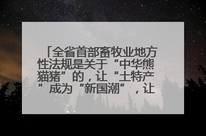 全省首部畜牧业地方性法规是关于“中华熊猫猪”的，让“土特产”成为“新国潮”，让“农产品”升格为“城市IP”