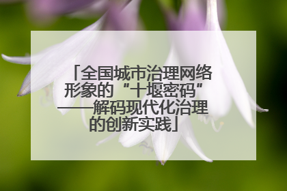 全国城市治理网络形象的“十堰密码”——解码现代化治理的创新实践