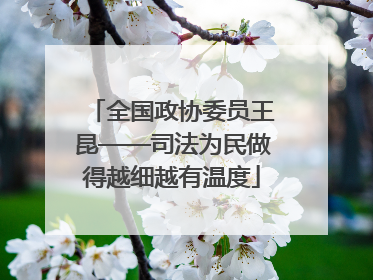 全国政协委员王昆——司法为民做得越细越有温度