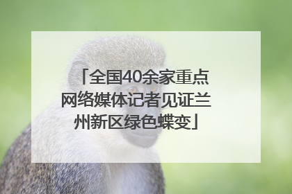 全国40余家重点网络媒体记者见证兰州新区绿色蝶变