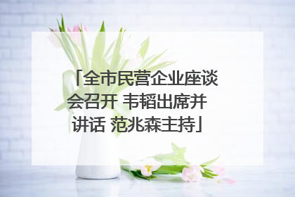 全市民营企业座谈会召开 韦韬出席并讲话 范兆森主持