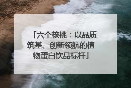 六个核桃：以品质筑基、创新领航的植物蛋白饮品标杆
