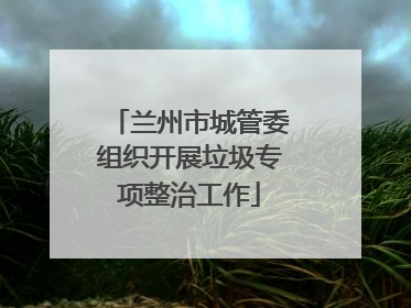 兰州市城管委组织开展垃圾专项整治工作