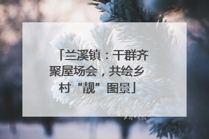 兰溪镇：干群齐聚屋场会，共绘乡村“靓”图景