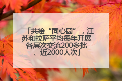 共绘“同心圆”，江苏和拉萨平均每年开展各层次交流200多批、近2000人次