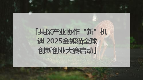 共探产业协作“新”机遇 2025金熊猫全球创新创业大赛启动