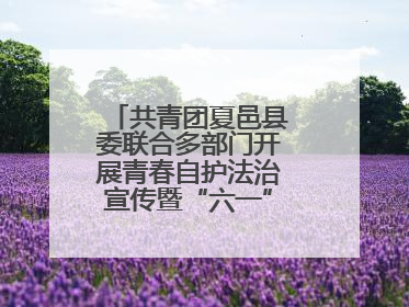 共青团夏邑县委联合多部门开展青春自护法治宣传暨“六一”主题日活动