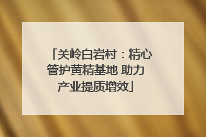关岭白岩村：精心管护黄精基地 助力产业提质增效