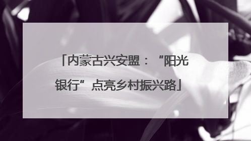 内蒙古兴安盟：“阳光银行”点亮乡村振兴路